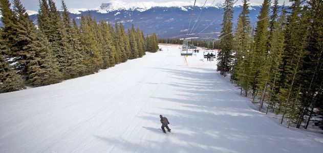 Marmot Basin